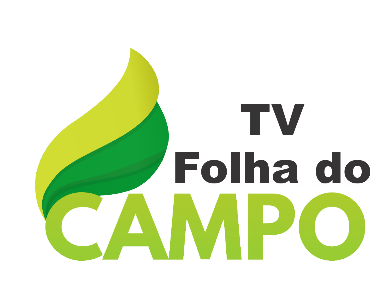 TV Folha do Campo